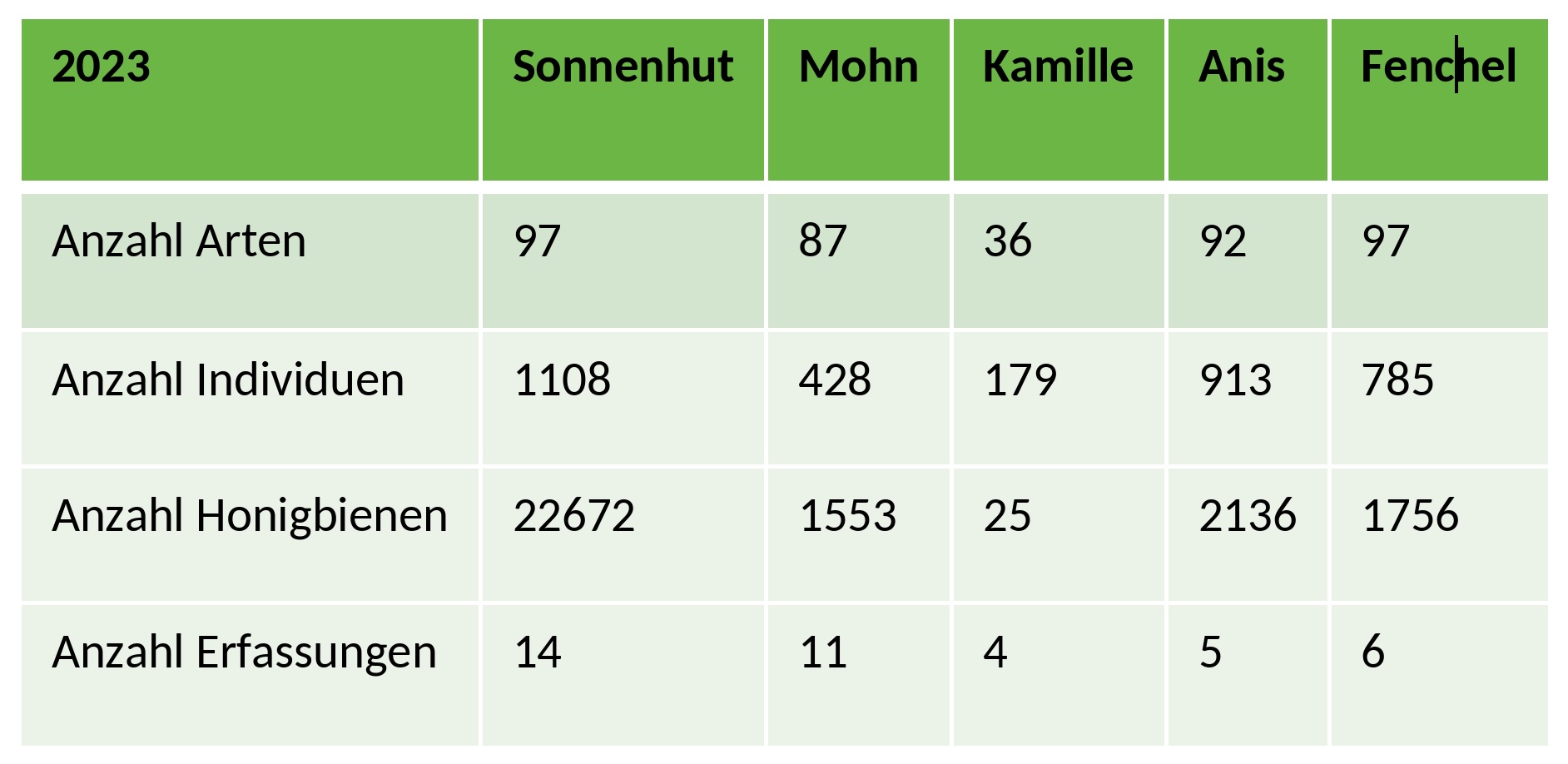 Tabelle 1: Ergebnisse aus dem ersten Projektjahr 2023 mit Angabe der Anzahl der Arten, Individuen, Honigbienen und der Anzahl der Erfassungen in den Kulturen Sonnenhut, Mohn, Kamille, Anis und Fenchel.
